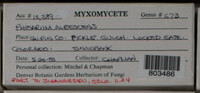 Image Associated With the Occurence